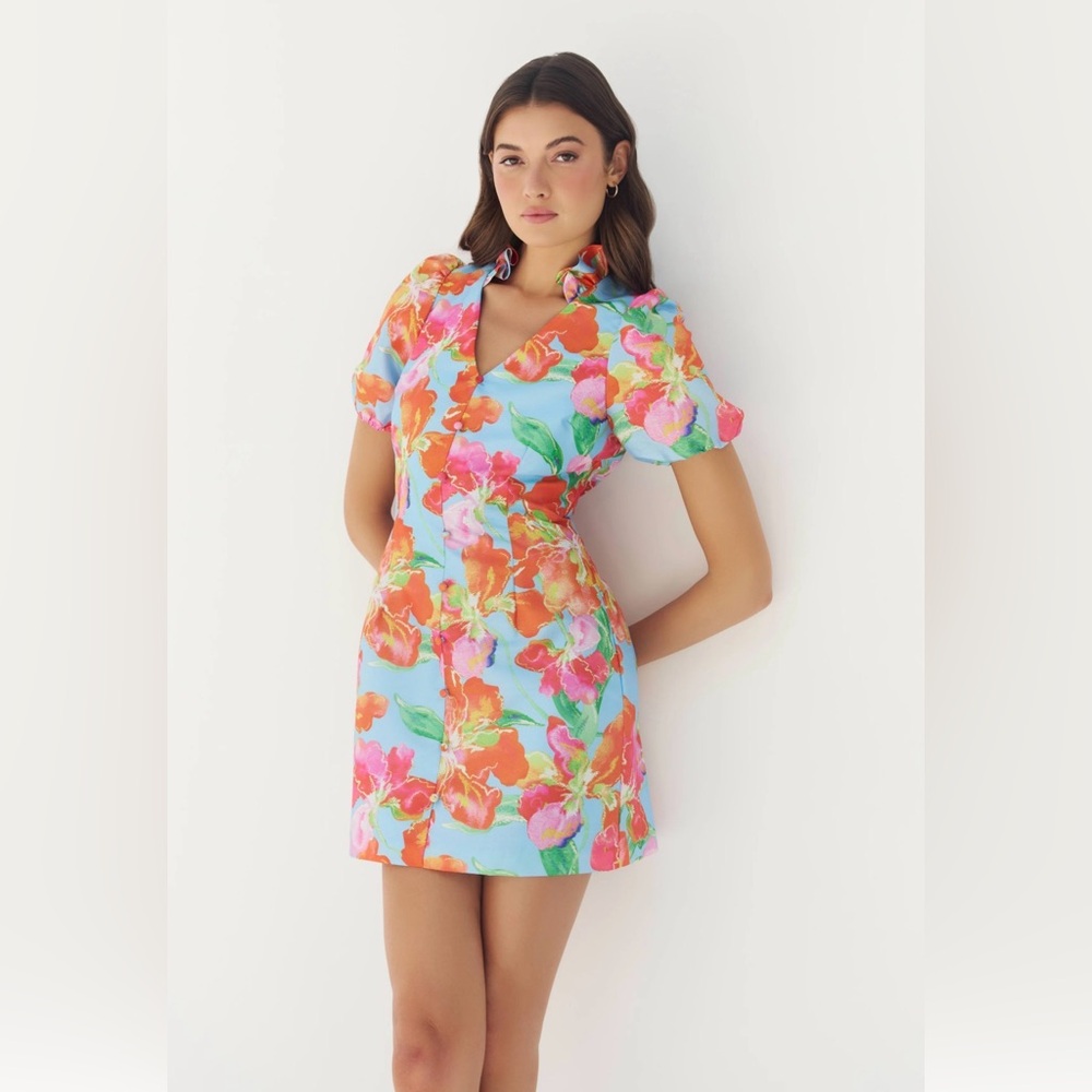 NWT Hutch Auden Short Sleeve Mini dress - size 8, 2026 Collection SOLD OUT size